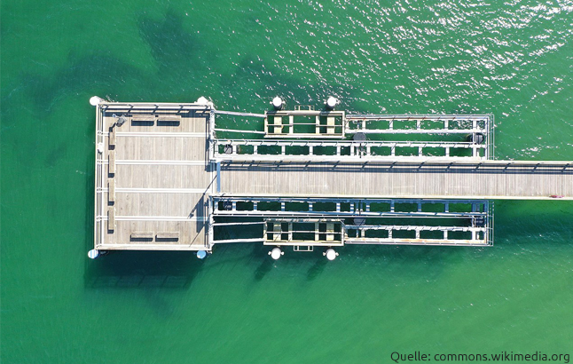 Luftaufnahme der Schönberger Seebrücke mit türkisblauem Wasser