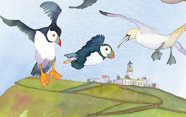 Emma Ball Design Diving Puffins Papageientaucher-Motiv der Designerin Emma Ball