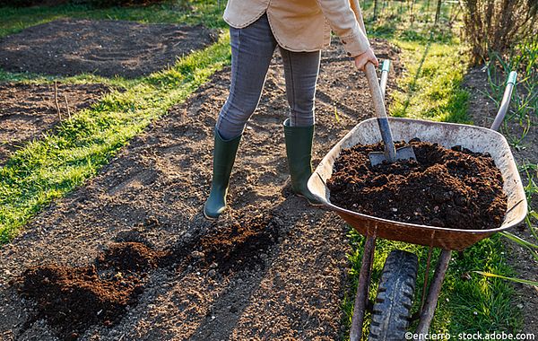 Kompostschicht für den Boden im Herbstgarten einbringen