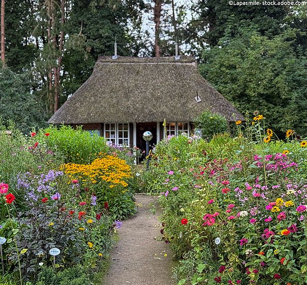 Loki Schmidt Garten im Botanischen Garten Hamburg