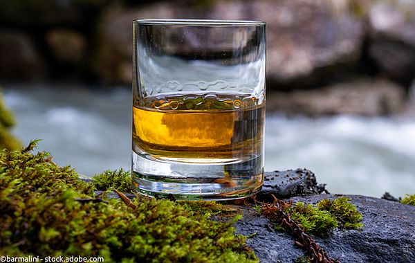 Goldgelber Scotch Whisky ohne Zuckercouleur