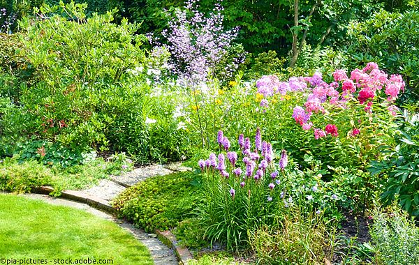 Trittsteine und natürliche Beetbegrenzungen im Cottage Garten
