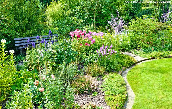 Staudenbeet mit Bank im Hintergrund und gepflegtem englischen Rasen