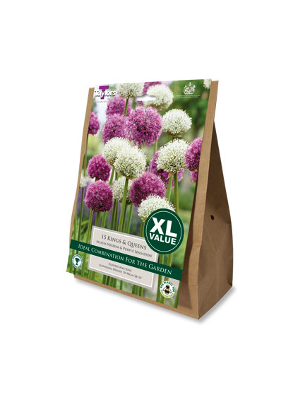 Blumenzwiebel-Geschenkset Alliums Kings & Queens