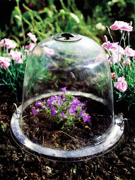 Pflanzenschutz von Haxnicks