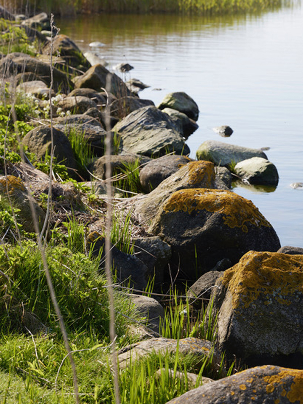 Ufer mit Steinen am Sehlendorfer Strand