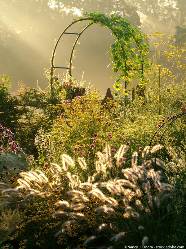 Herbstblumen und Rosenbogen um herbstlichen Cottage Garden