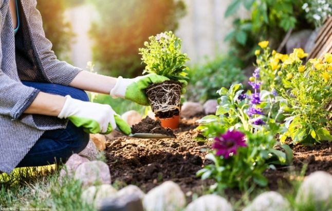 Gartenarbeit