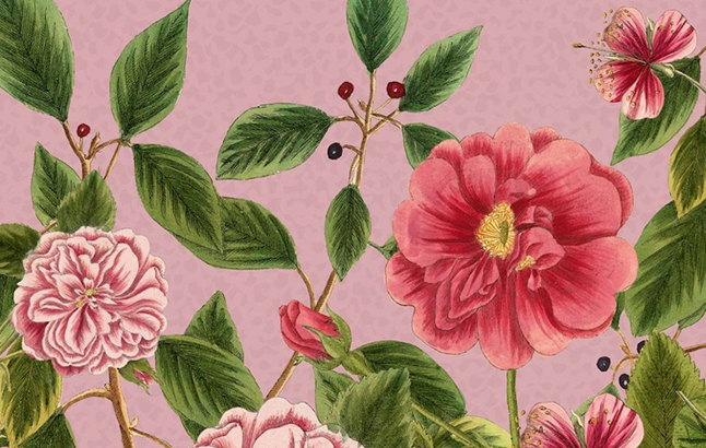 Blumen Kalender 2026