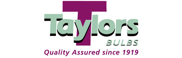 Taylors Bulbs